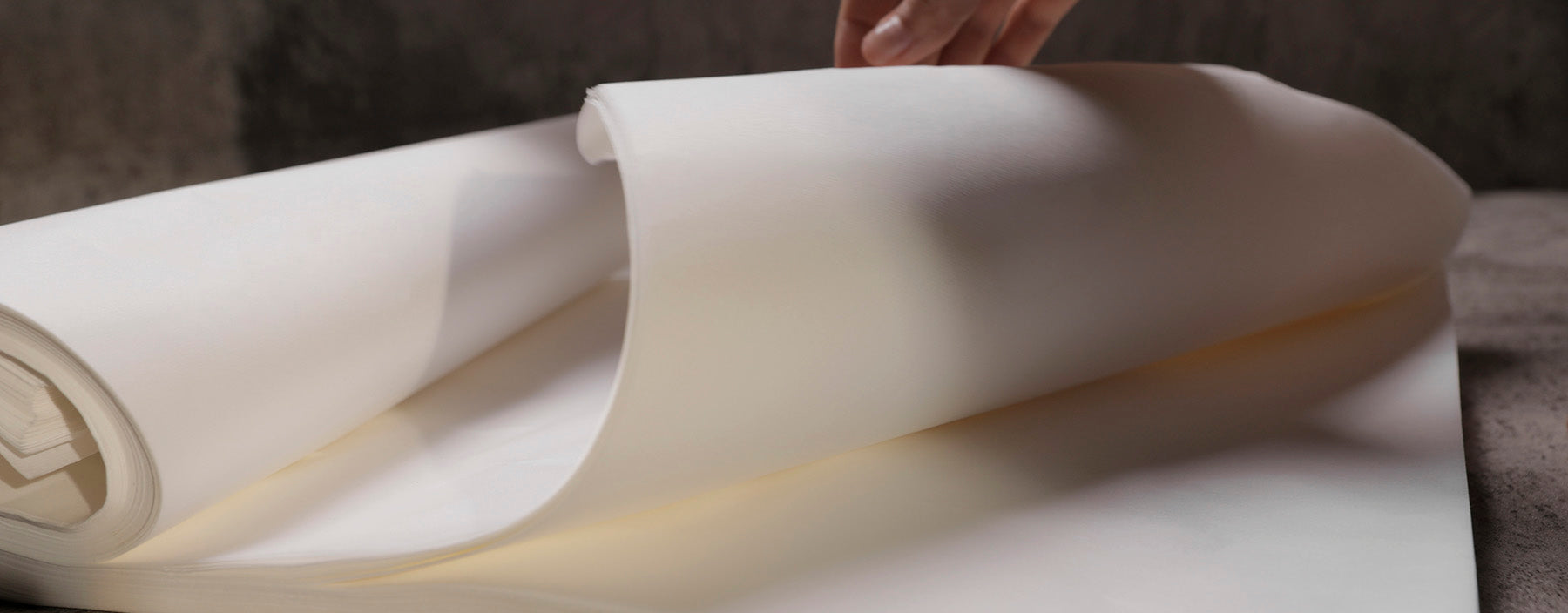 Paper - ASIAN BRUSHPAINTER