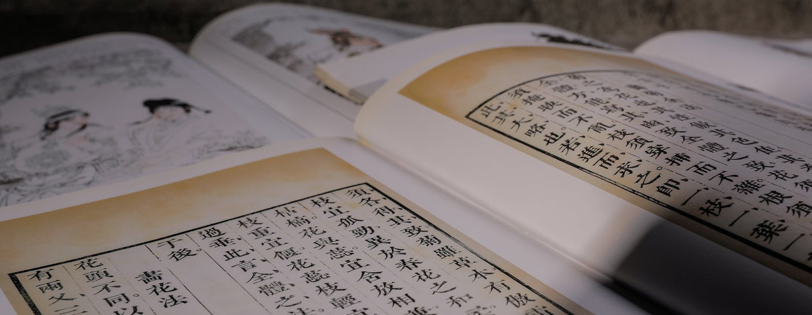 Chinese Calligraphy Books