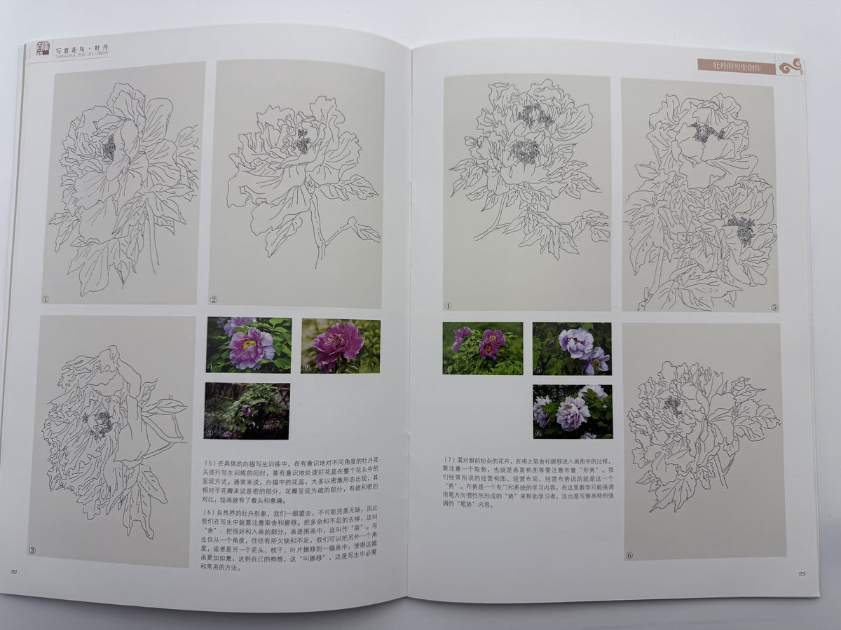 MASTERING ONE HUNDRED SKILLS-PEONY 3