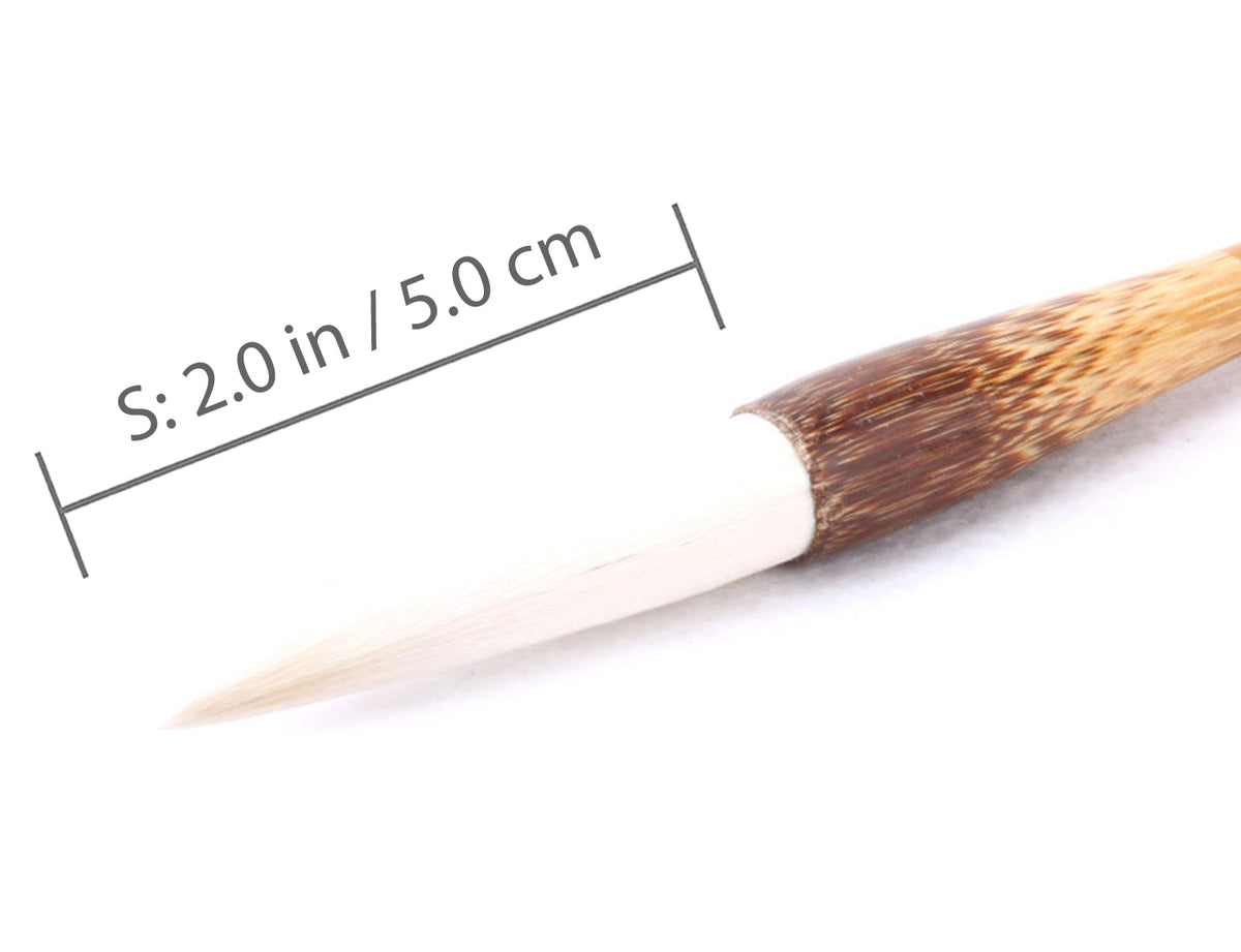 the S size of this brush has a small tip of 2.0 in / 5.0 cm