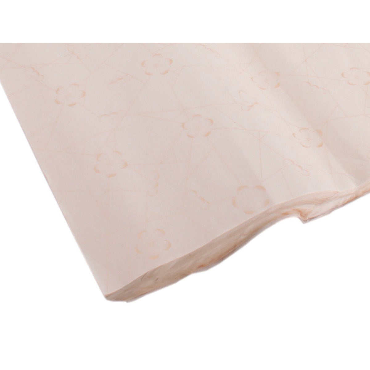 Blooming Plum Blossom