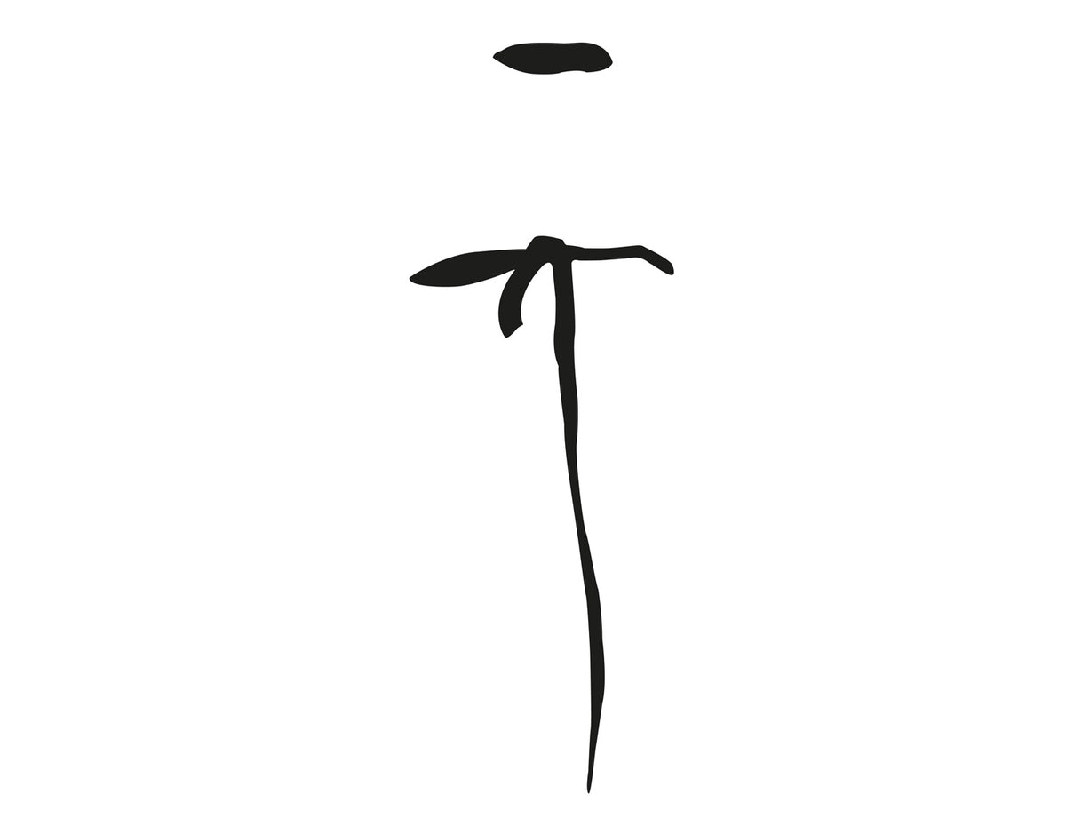 illustration of the emperor huizong of the song dynasty&#39;s calligraphy artwork