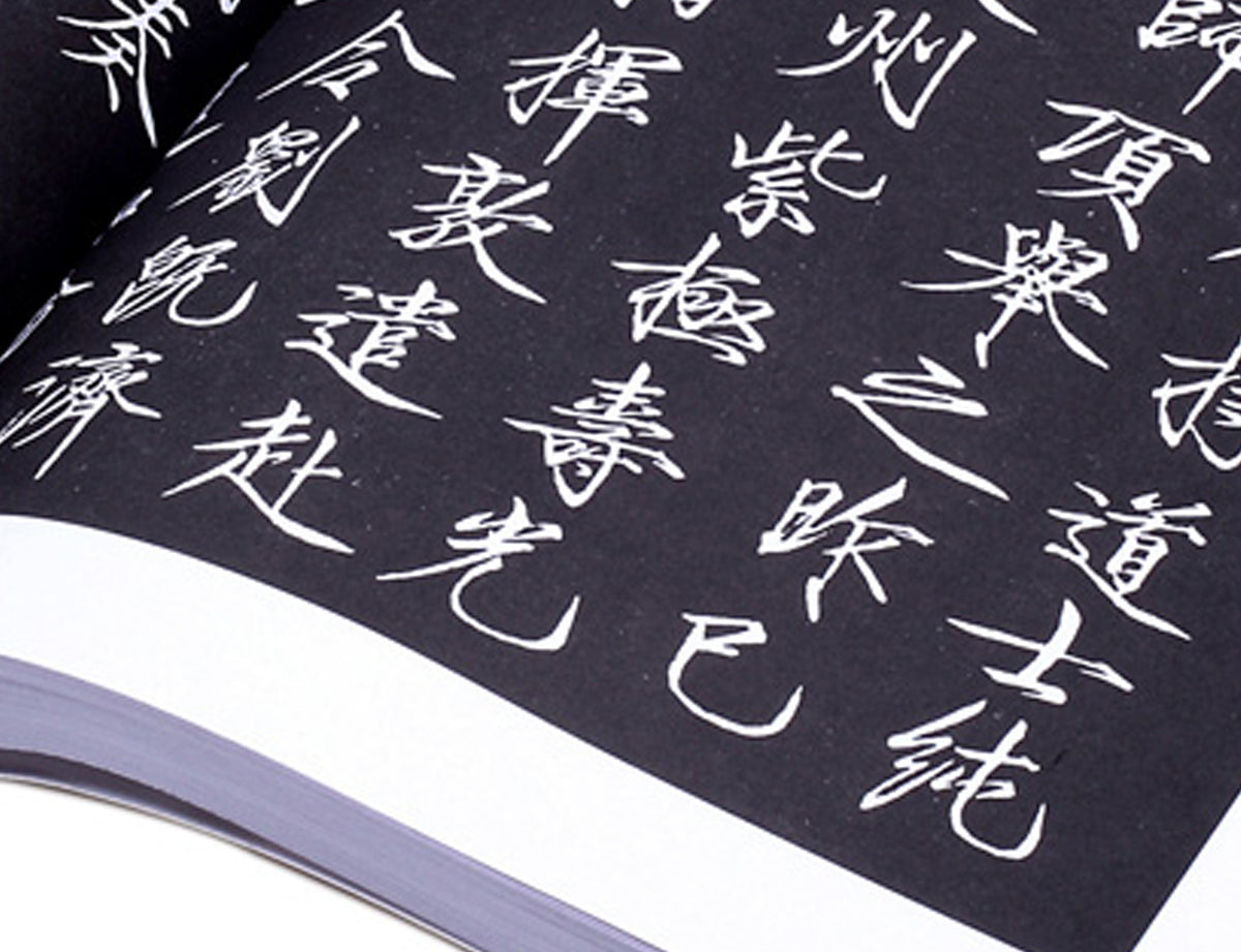 detail view of an example page of this book from which the lines of the characters are clearly seen