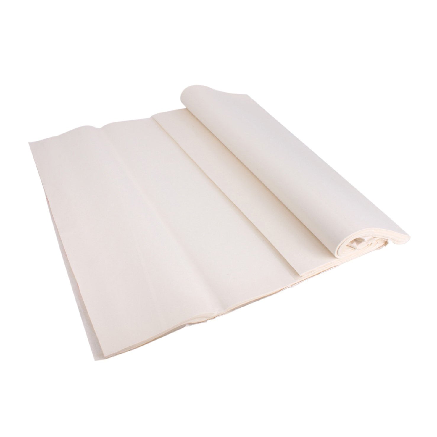 Didiseaon Papier De Riz Xuan Pour Calligraphie Et Peinture Chinoise - Rouleau Traditionnel Shu Xuan Blanc