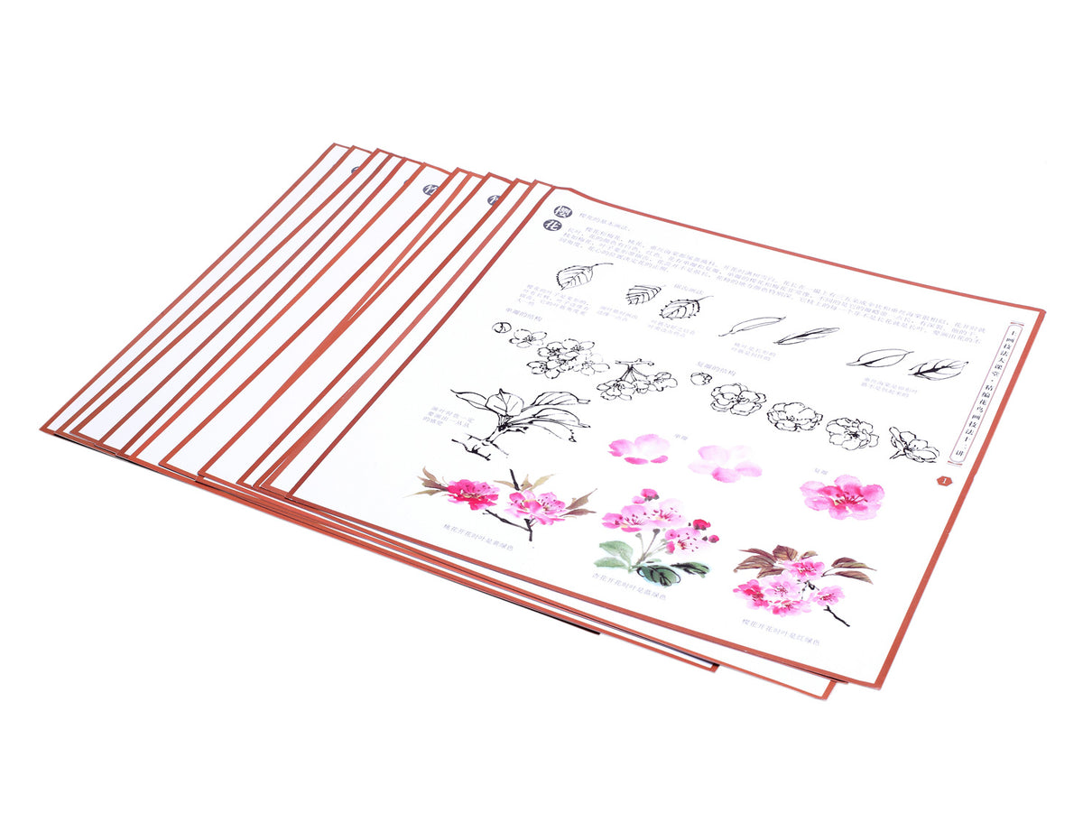 instructional part of this book with details of how to paint a flower step by step