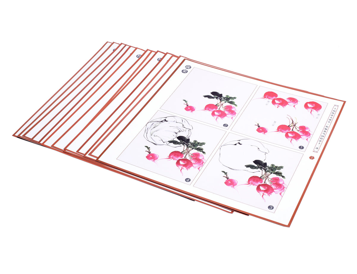 instructional part of this book with details of how to paint a radish step by step