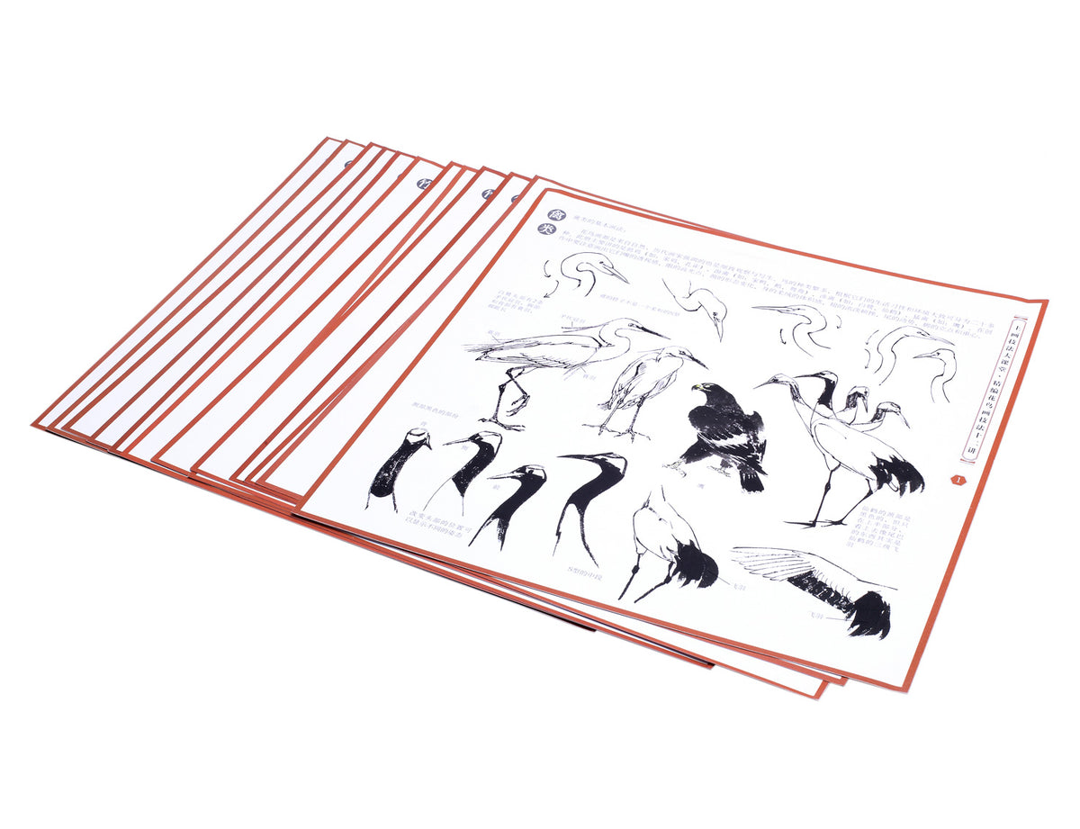 instructional part of this book with details of how to paint a heron in different postures