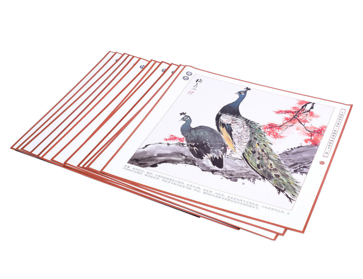 a great inspiration and a treatment for the eye - a demonstrating sumi painting of two elegant peacocks standing on a tree