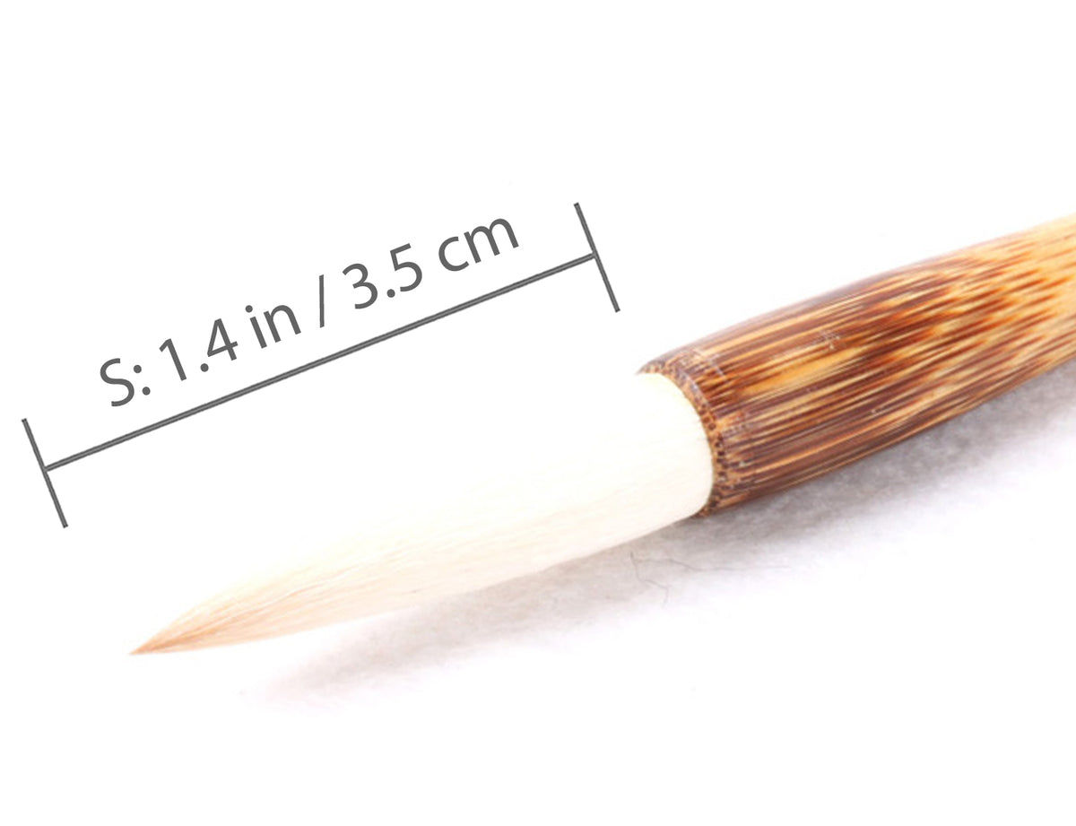 the s size of this brush has a tip length of 1.4 in / 3.5 cm