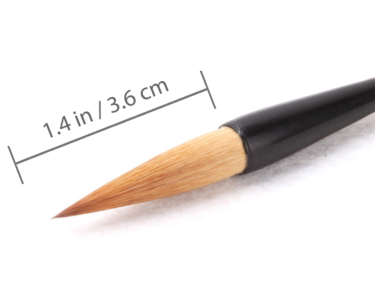 detailed view of the equisitely handmade brush tip with dimensions indicated for reference