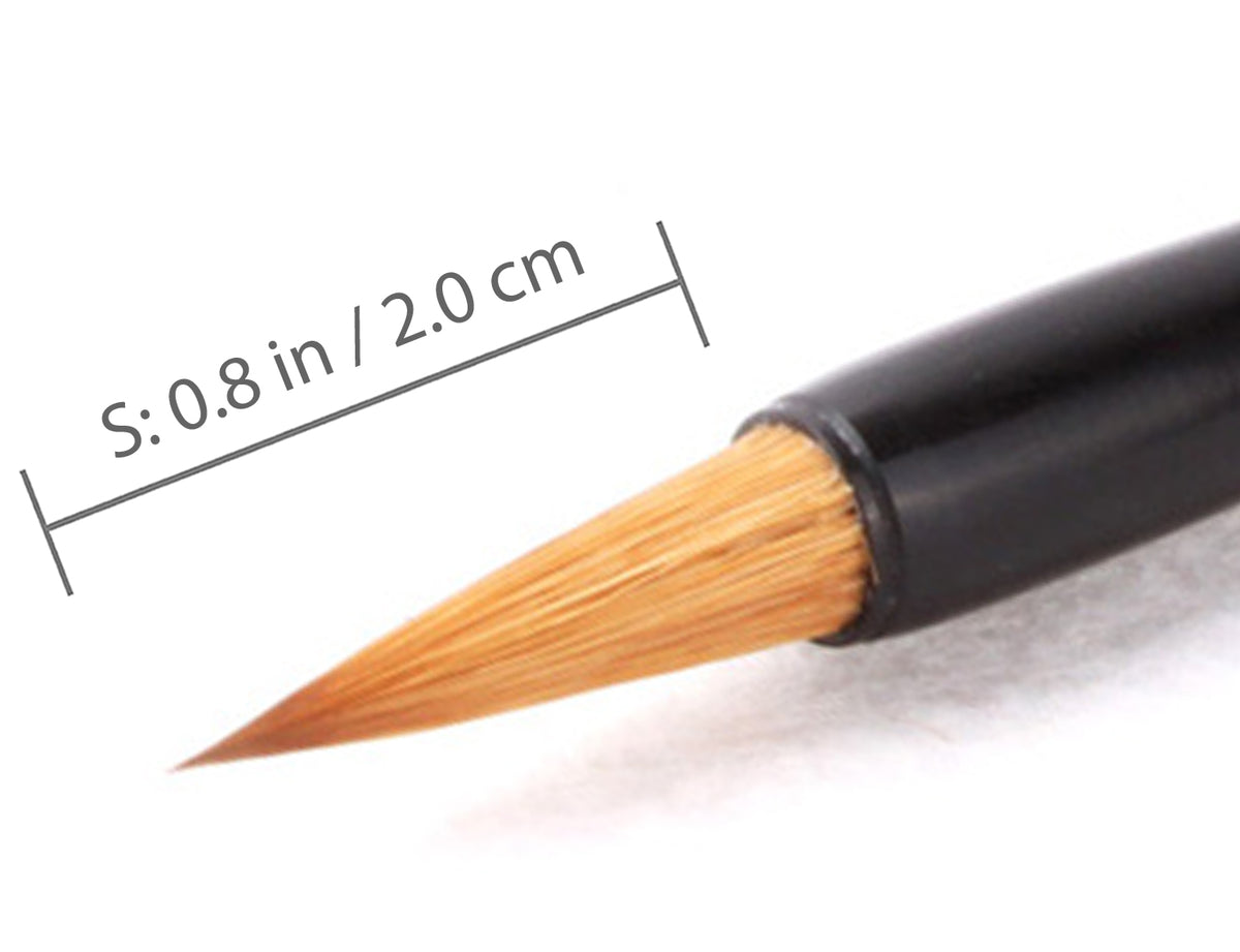 zoom view of the small tip of this brush with its dimensions indicated: 0.8 inch / 2 cm long