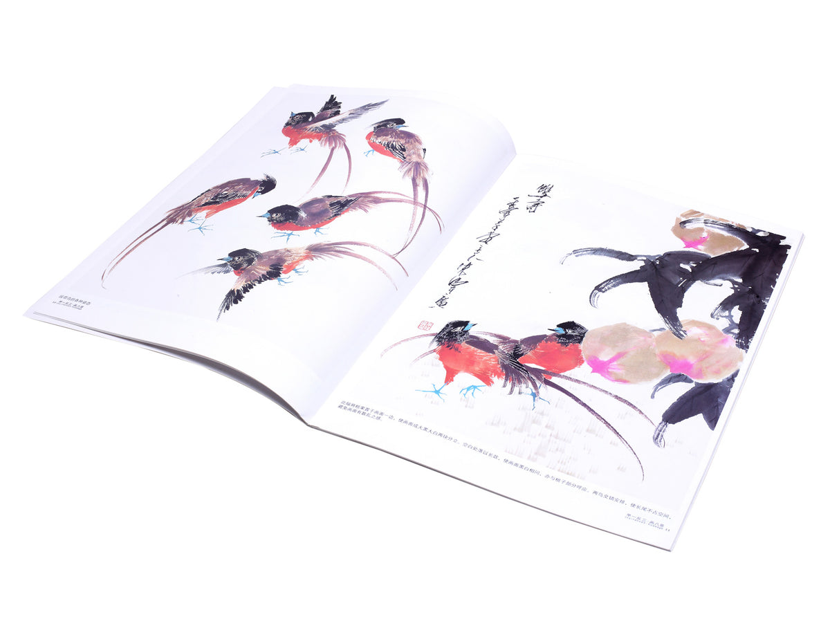 inside the book this page illustrates paintings of mynas in different postures for your inspiration