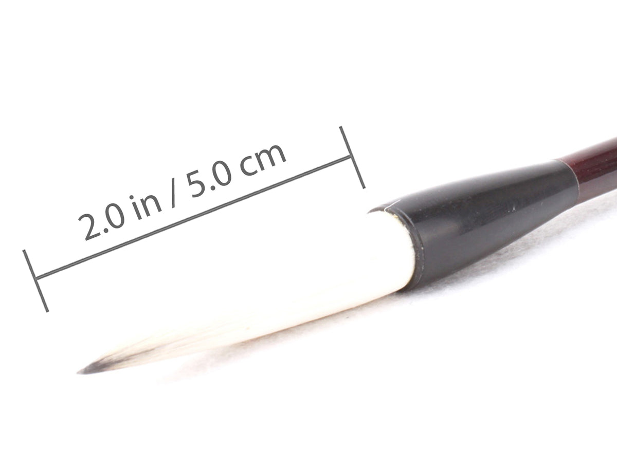 Having a small size tip the S of this brush is recommended for artists who are looking for brushes to write small size calligraphy or to paint fine / detailed lines in sumi / fineline painting
