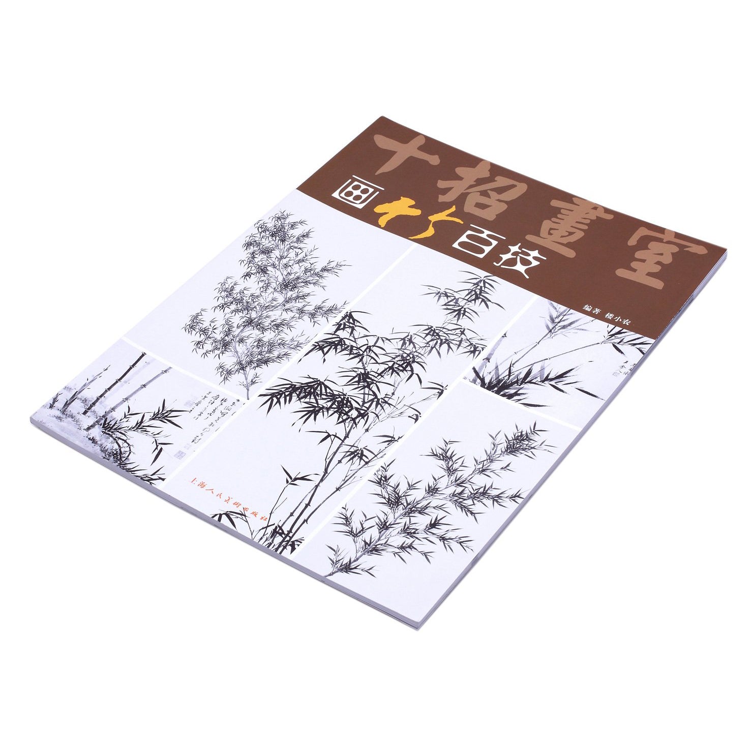Highway to Chinese Painting - Learn the Essential Techniques