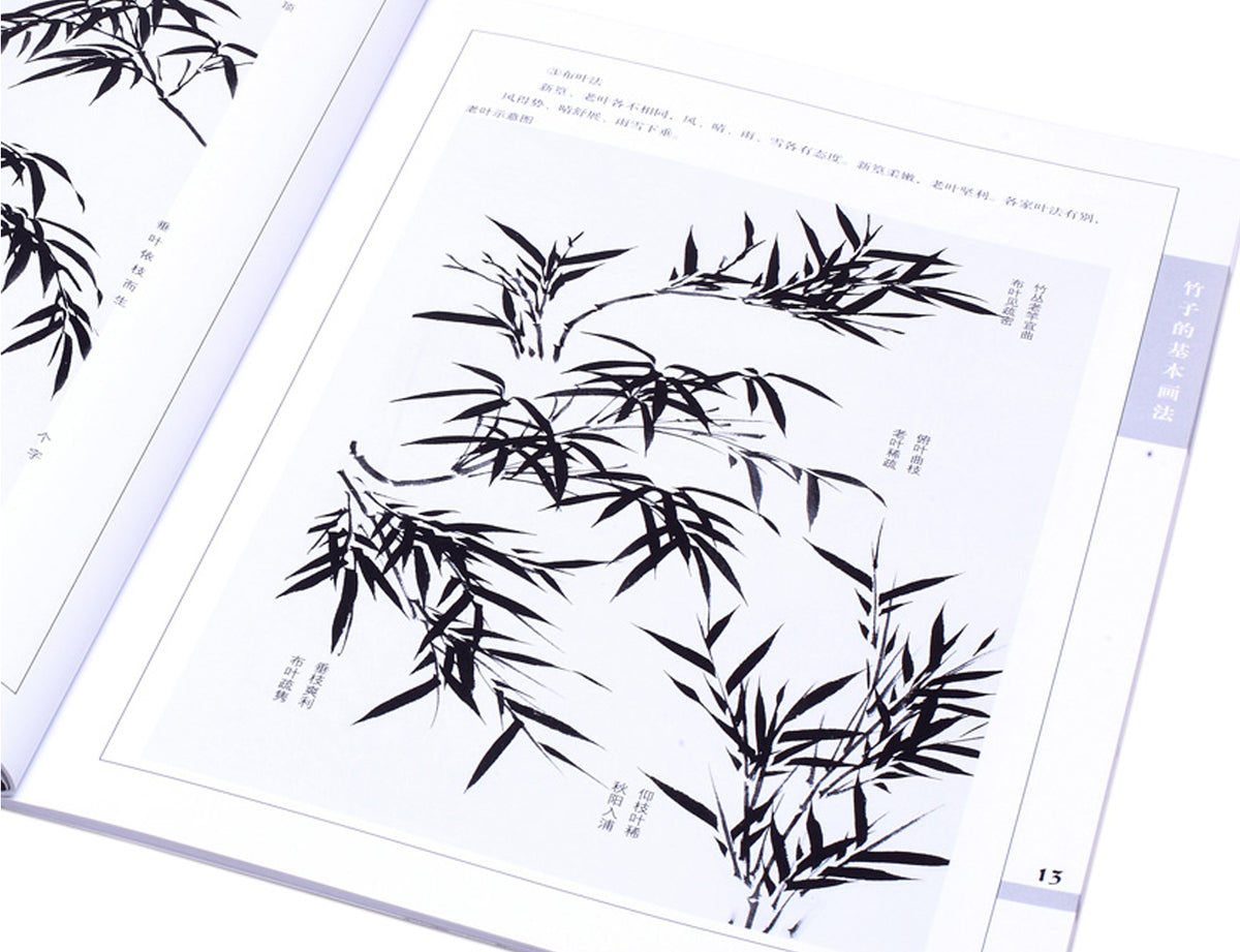 Highway to Chinese Painting - Learn the Essential Techniques