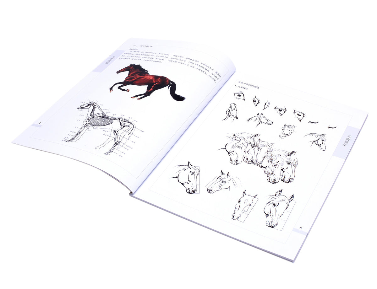 instructional part of this book &lt;ten tricks in chinese painting-horse&gt; with a picture of a real running horse, a super helpful breakdown drawing of the horse and detailed steps of how to paint the eyes and the head of a horse in different postures