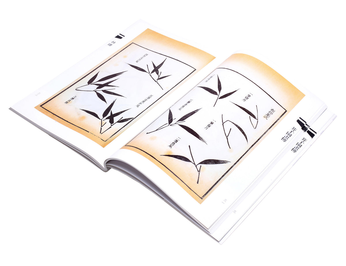 page view of elegant bamboo leaves in different ways for readers&#39; inspiration in their own art creation