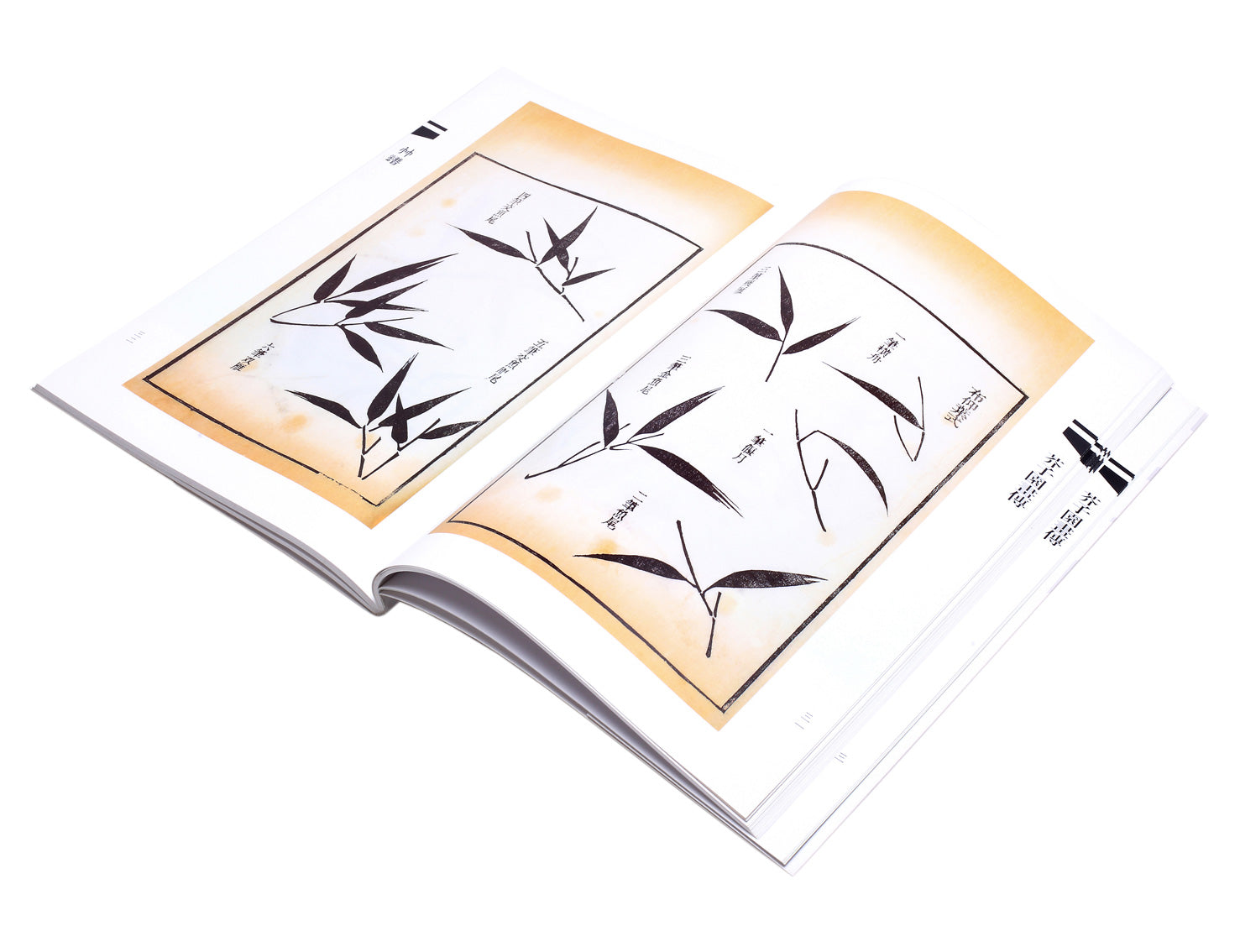 manual of the mustard seed garden pdf Mustard Seed Garden - teaching book for brush painting bamboo