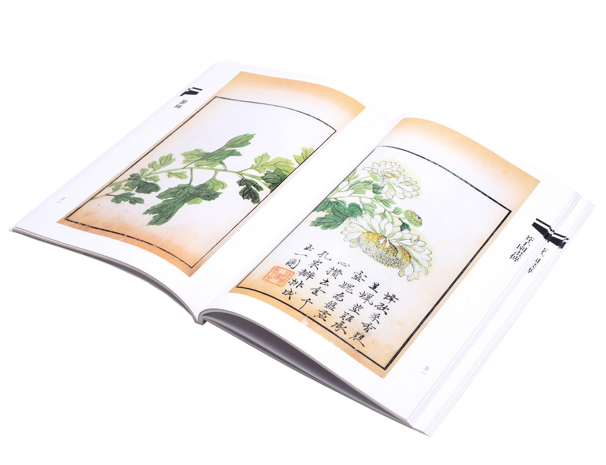 example of a beautifully composed chrysanthemum flower sumi painting