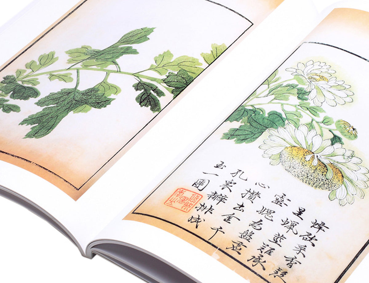 detail view of a beautifully composed chrysanthemum flower sumi painting