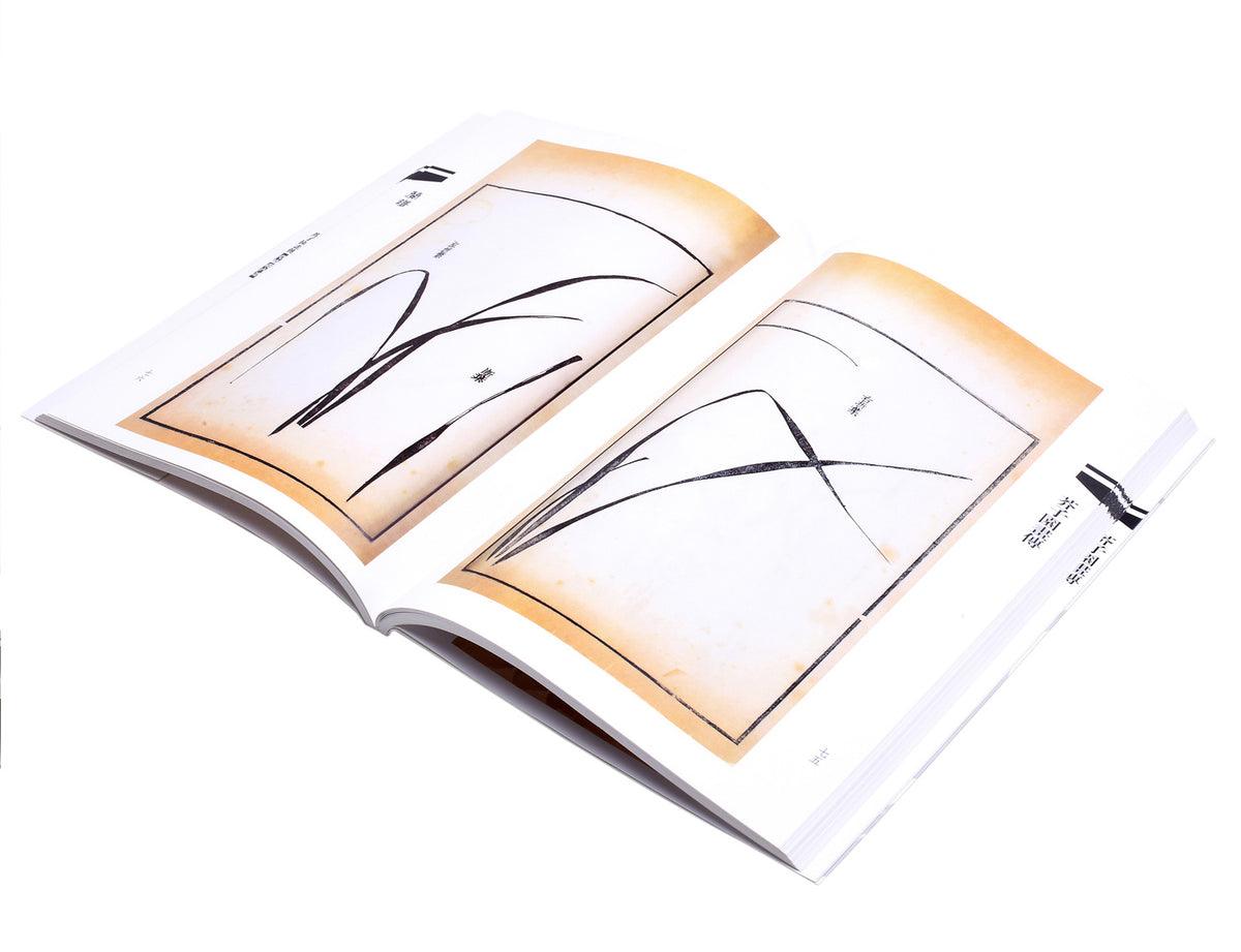 page view of elegant orchids in different ways