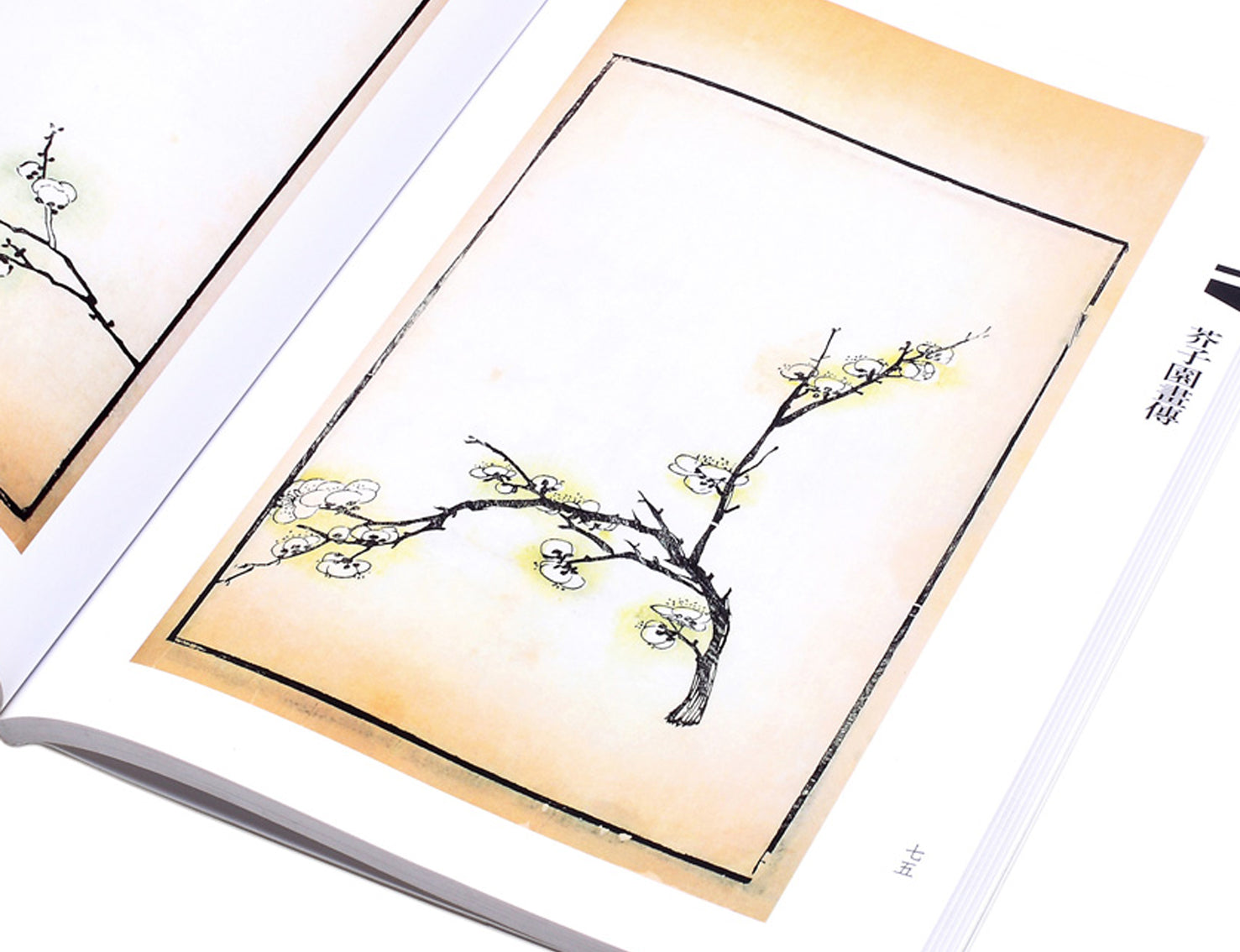 mustard seed garden manual of painting Plum Flowers teaching book for Sumi-e painting